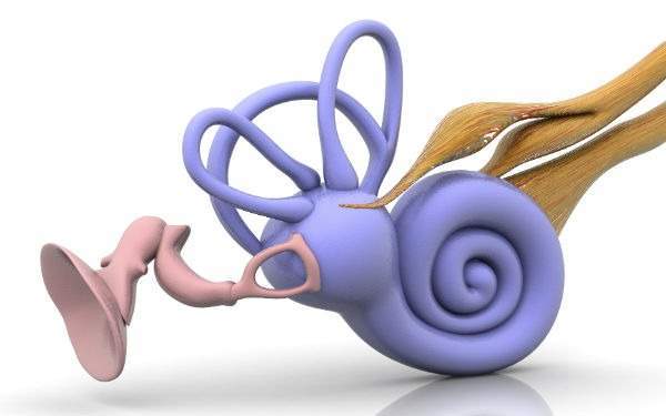 snail-3.jpg
