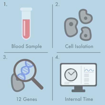 Researchers develop new blood test to read internal clock of person