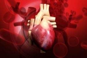 Ancora Heart unveils encouraging initial safety data from heart failure therapy study