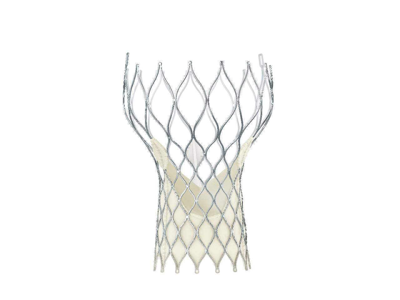 Medtronic secures FDA approval for revised labeling of CoreValve Evolut TAVR system