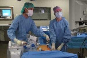 TransEnterix acquires assets of Medical Surgery Technologies