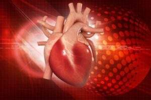 NeoChord completes first beating heart repair procedure in Asia