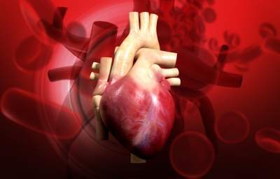 Cardialen secures $17m funding for heart rhythm therapy
