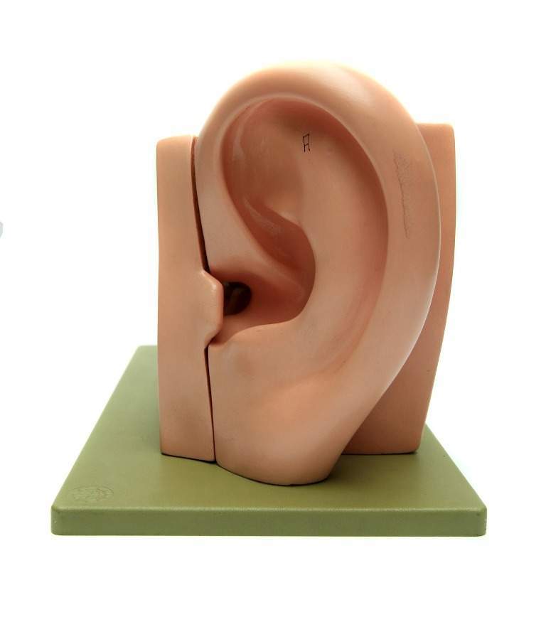 InnerScope partners with Erchonia to conduct FDA trial for treating Tinnitus