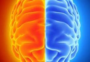 Neuroscientist discovers hidden region of human brain