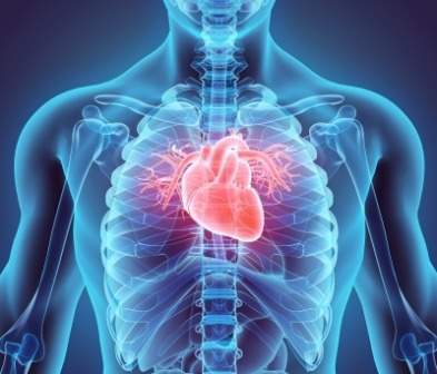 Orchestra BioMed secures $41m funding for cardiovascular product candidates