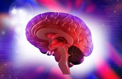 Biomax Informatics introduces NeuroXM Brain Science Suite