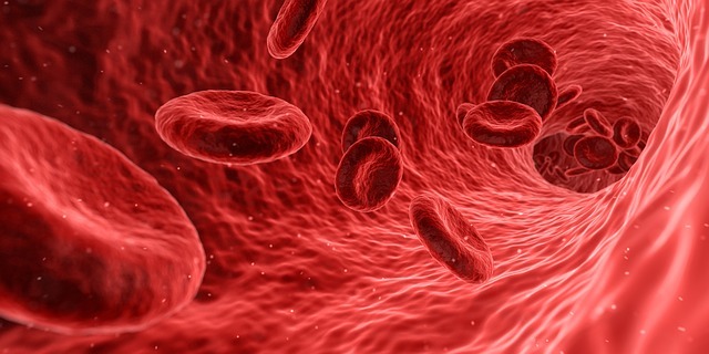 Blood clot discovery could pave way for treatment of blood diseases