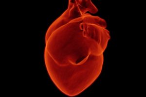 Leviticus Cardio & Jarvik Heart unveil wireless heart pump system
