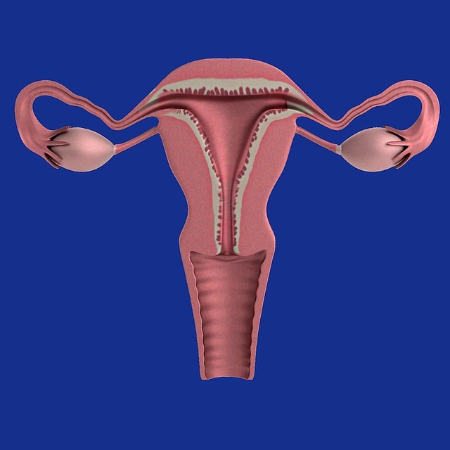 SOTIO’s DCVAC/OvCa significantly improves survival in patients with recurrent ovarian cancer