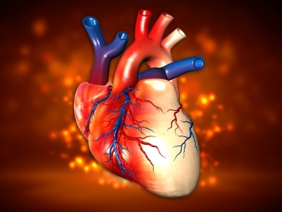 CardioFocus initiates persistent atrial fibrillation study with HeartLight X3 system