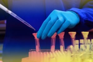 Sherlock Biosciences licenses Wyss technology to create affordable molecular diagnostics