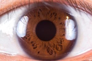 Eyenuk’s AI Eye Screening System gives positive results in clinical trial