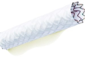 Biotronik launches PK Papyrus covered coronary stent in US