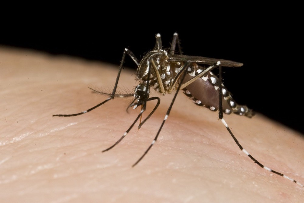 World Malaria Day: Five latest devices to combat the spread of malaria