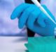 Gyros Protein Technologies launches Gyrolab E. coli HCP kit for automated impurity analysis of biotherapeutics
