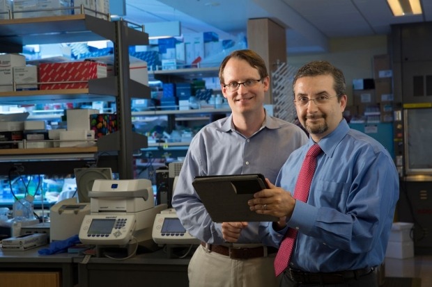 Stanford team develops new software tool to predict cancer outcomes