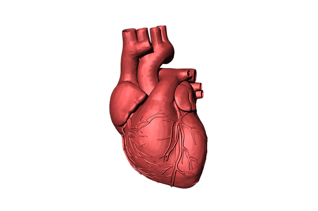 Nanowear begins heart failure management and alert diagnostic validation study
