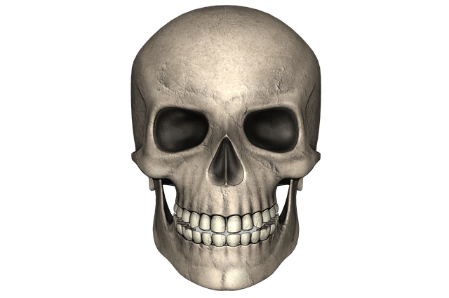 skull-1746206_640