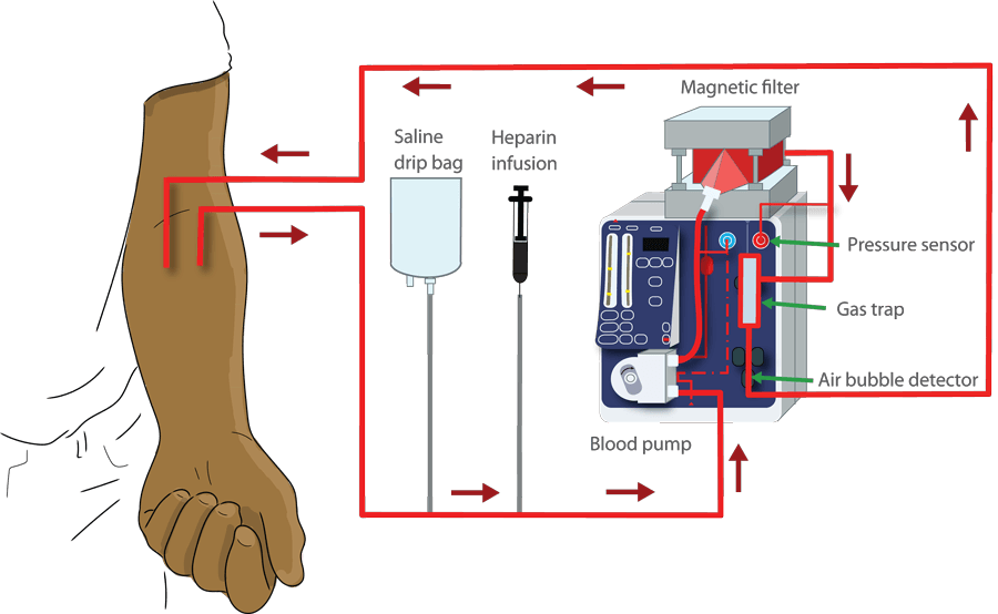 medisieve blood-borne diseases