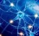 Feinstein Institutes trial shows potential of bioelectronic medicine for stroke patients