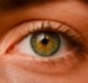 Alimera rolls out ILUVIEN in Germany for non-infectious Uveitis indication