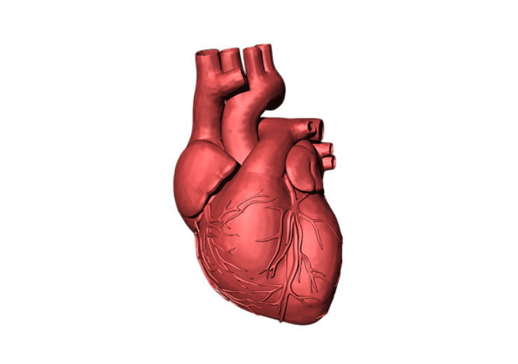 Biosense Webster’s trial shows positive results for catheter ablation in delaying AF progression