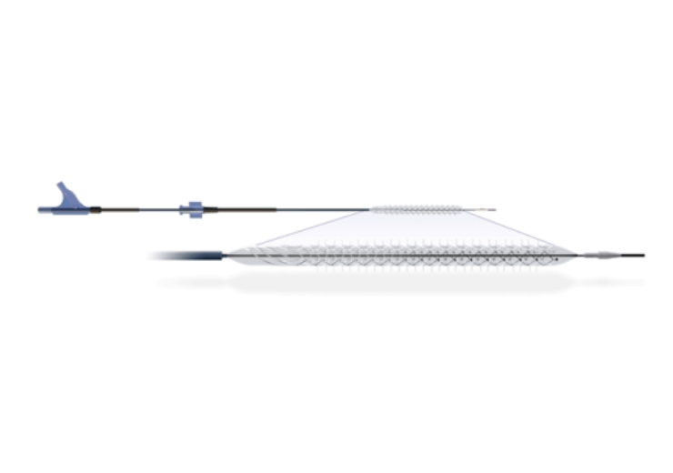 Reflow Medical gets FDA breakthrough device status for Temporary Spur Stent System