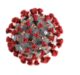 FDA grants emergency use approval for coronavirus diagnostic test