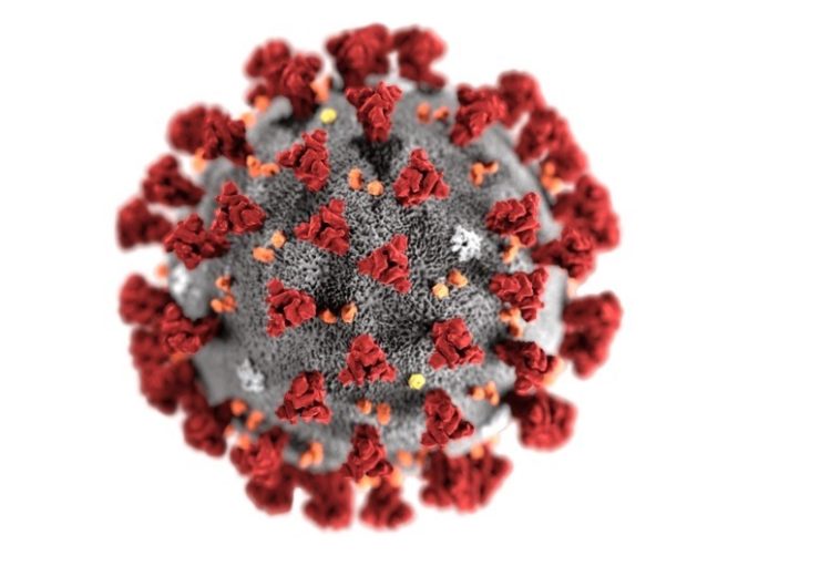 Co-Diagnostics seeks CE mark for COVID-19 coronavirus test