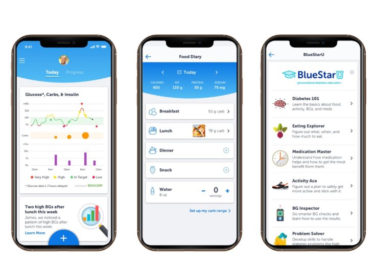 Welldoc receives FDA Clearance for long-acting insulin support for digital health solution BlueStar
