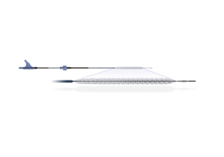 Reflow Medical begins pilot study with Temporary Spur Stent System