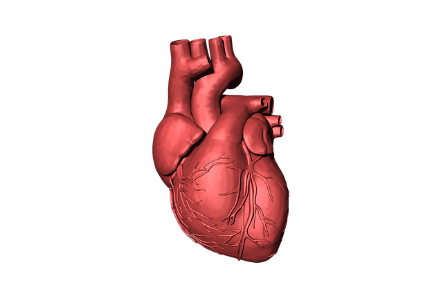 Biosense Webster launches new CARTO 3 system to treat complex arrhythmias