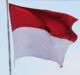 Why Covid-19 pandemic could represent ‘opportunity’ for Indonesia’s medical device sector