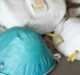 FDA issues warning to respirator decontamination firm over ‘inadequate adverse event reporting process’