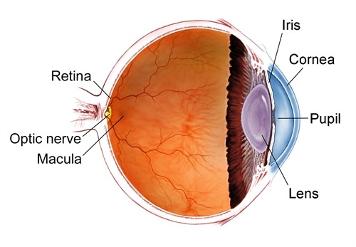 ophthalmology laser retina surgery