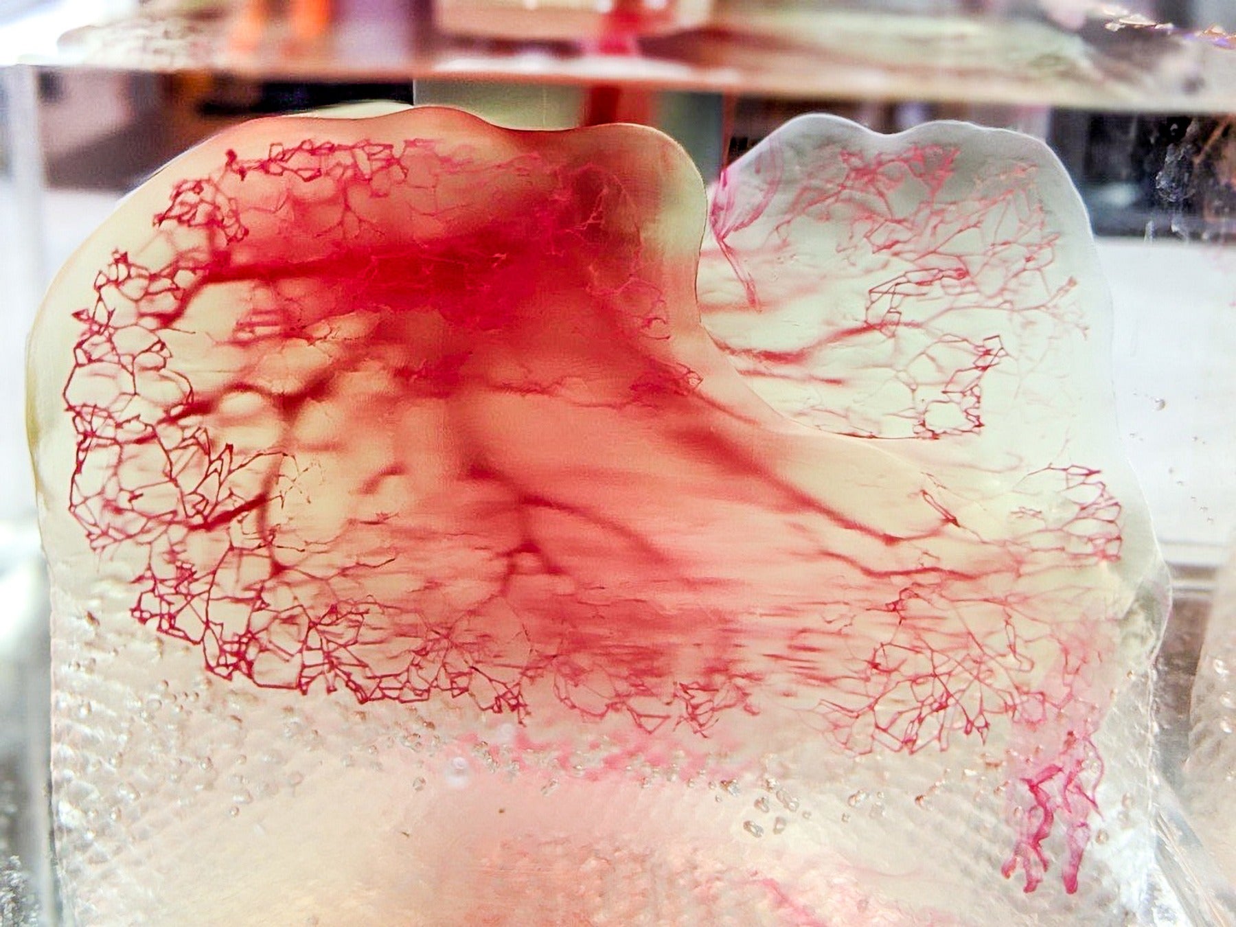 3d systems print to perfusion