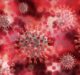 ForaCare Suisse releases rapid Covid-19 antigen test