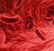 EndoClot gets FDA approval for Polysaccharide Haemostatic System for GI bleeding
