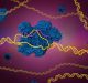 Israeli researchers create software to quantify off-target gene editing caused by CRISPR
