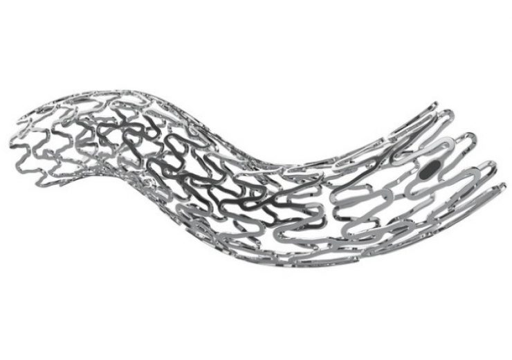 amg International gets CE mark for UNITY-B biodegradable stent
