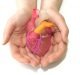 HeartFlow: How 3D scans are helping doctors diagnose heart disease without invasive procedures