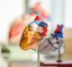CARMAT achieves first commercial implant of artificial heart in Italy