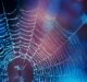 Spider webs could be key in tackling bacterial infection as an implant coating