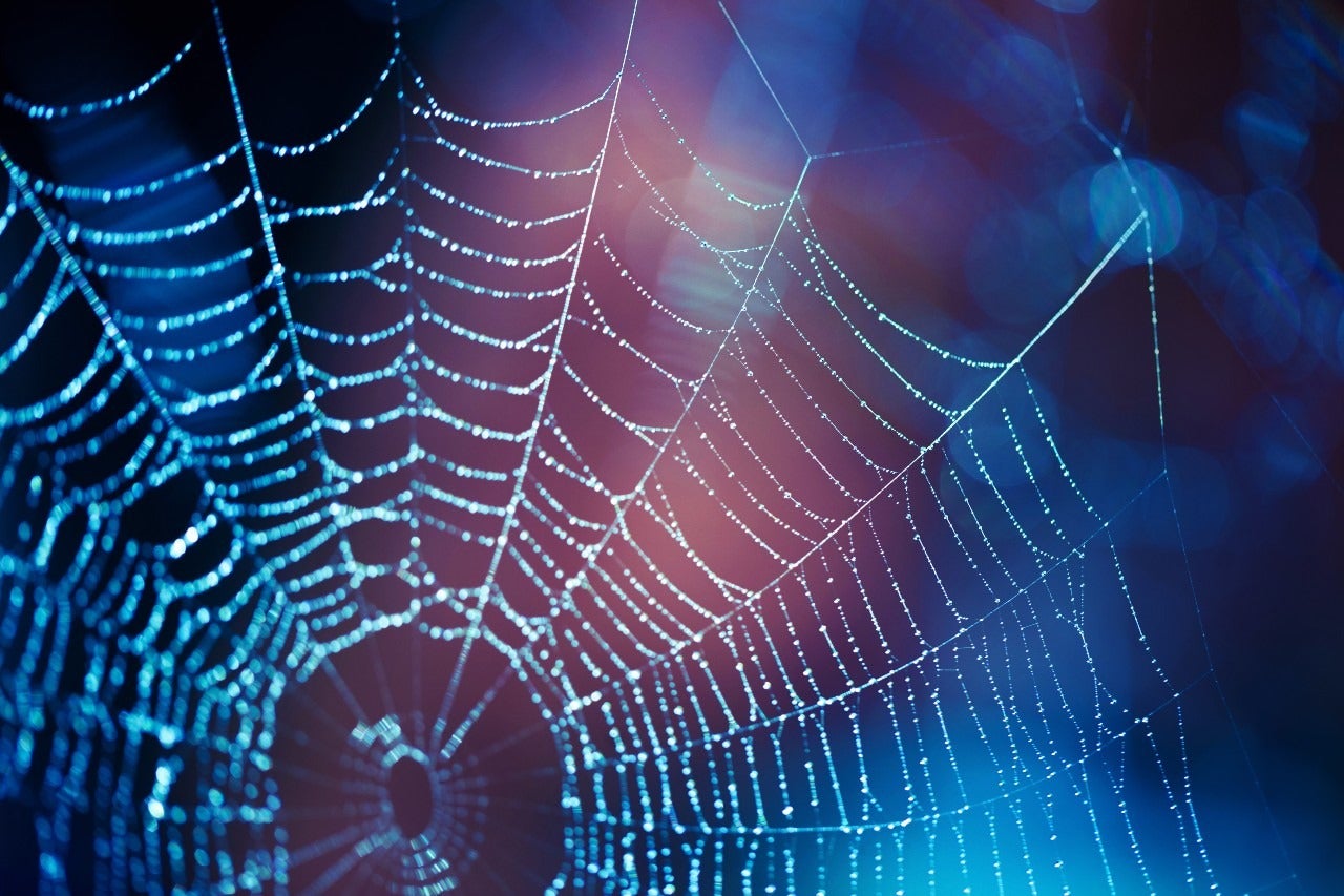 Spider webs could be key in tackling bacterial infection as an implant coating