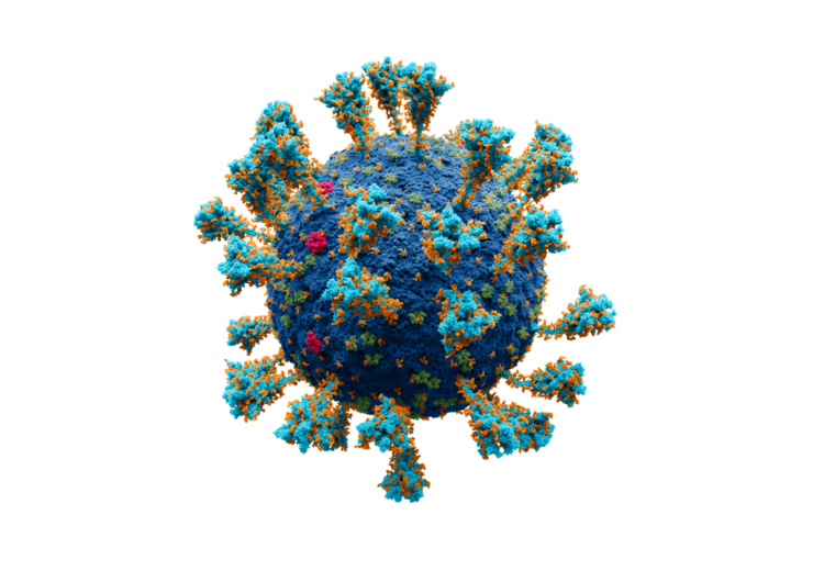 Coronavirus._SARS-CoV-2 (1)