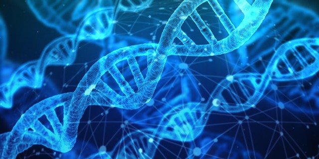 Sema4 has agreed to acquire genomic testing provider GeneDx. (Credit: Gerd Altmann from Pixabay)