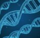 HealthPartners, Helix partner to create DNA testing program that helps families better understand their genetic health