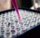 QIAGEN Adds HSV1/2 Herpes Assay With CE-IVD Certification for Use on NeuMoDx Integrated PCR System