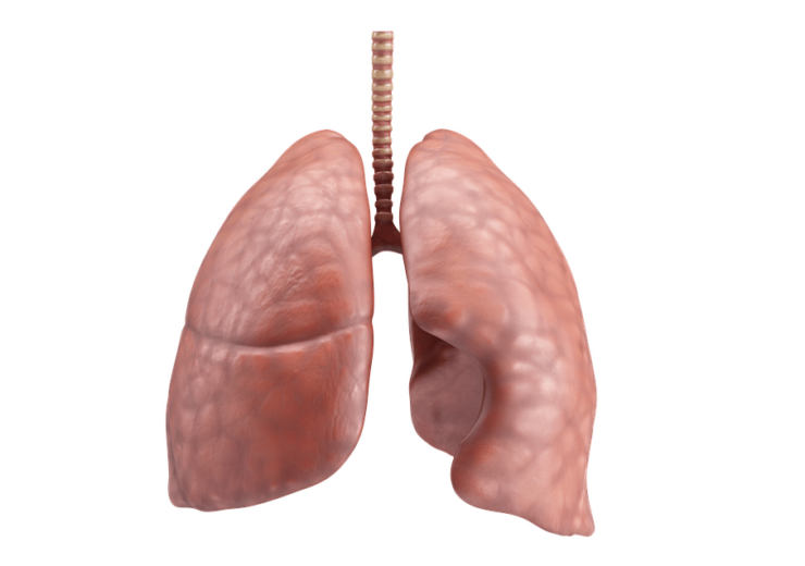 Sirona partners with RevealDX to boost AI-based lung cancer screening